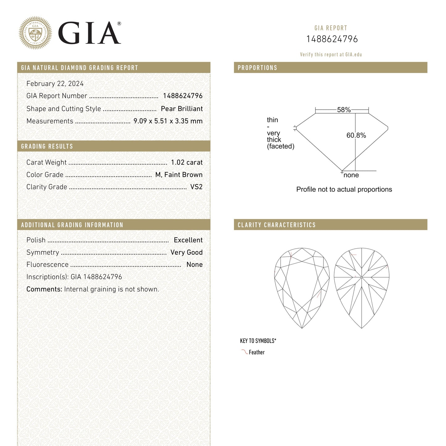 1.02ct 9.09x5.51x3.35mm GIA VS2 M ペア ブリリアント 24669-01