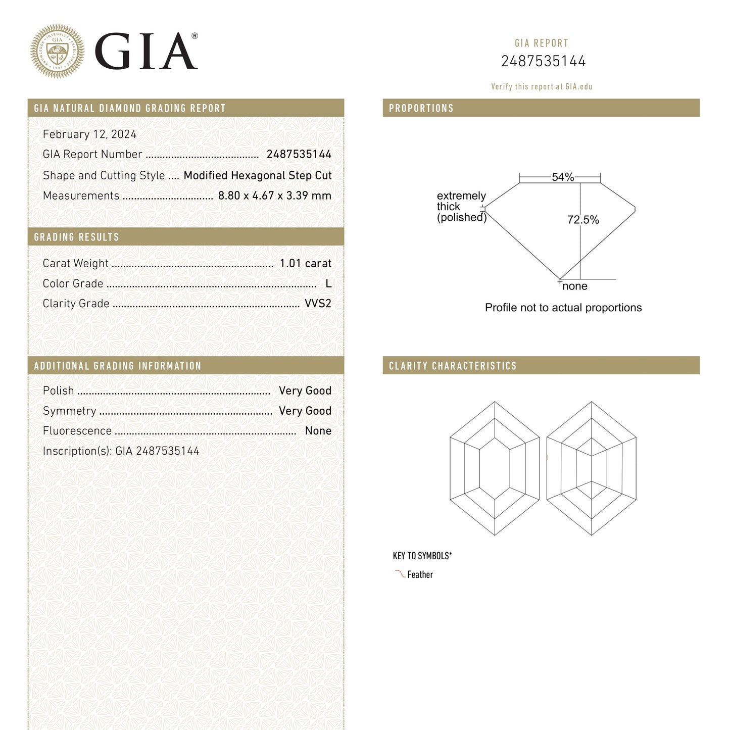 1.01ct 8.80x4.67x3.39mm GIA VVS2 L ヘキサゴン ステップカット 25078-01